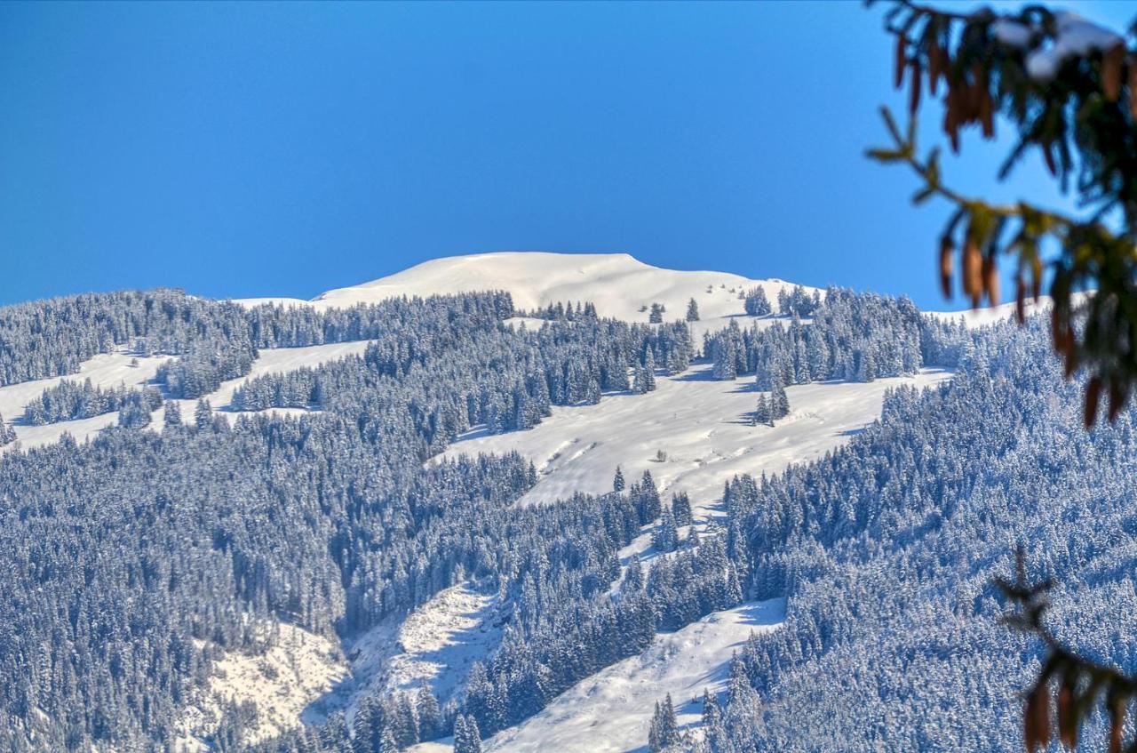 Apartment Snowmountain - By Alpen Apartments Zell am See Bagian luar foto